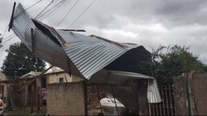 Temporal em Uruguaiana provoca estragos com ventos fortes, chuva intensa e árvores derrubadas neste sábado (21).