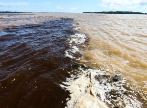 1061851-16.01.2016_mcmag_abr-9263 (1)