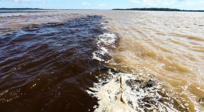 1061851-16.01.2016_mcmag_abr-9263 (1)