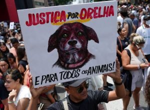 2026-02-01t201838z_1320438574_rc22dja8y3s7_rtrmadp_3_brazil-protest-animal-rights.jpg