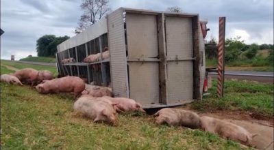 628576664_18235956763307612_3966343959351694821_n