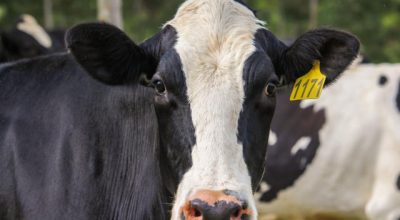 637184638_1654341172212870_1794116376682438540_n