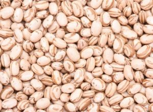 637230543_1654115252235462_1499021828186214004_n