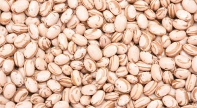 637230543_1654115252235462_1499021828186214004_n