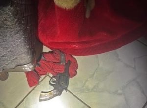 638726133_1333756675457600_887049037671829614_n