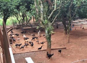 639484527_18236674579307612_6272396251975343548_n