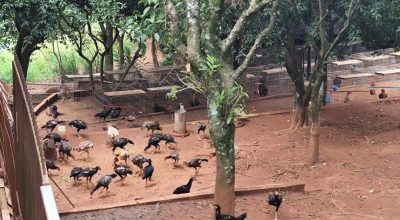 639484527_18236674579307612_6272396251975343548_n