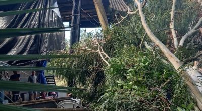 Temporal em Tapejara causa danos no Bairro Solar da Colina, queda de árvores e alagamentos no Centro da cidade.