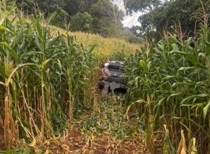 Agricultor sequestrado é abandonado às margens da ERS-129 entre Guaporé e Serafina Corrêa, na Serra Gaúcha.