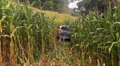 Agricultor sequestrado é abandonado às margens da ERS-129 entre Guaporé e Serafina Corrêa, na Serra Gaúcha.