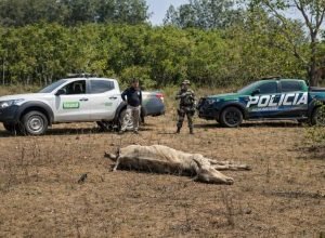 641362947_1658843141762673_7696522906689418724_n