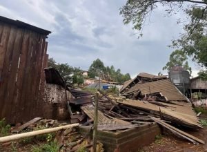 Estrebaria desaba após ventos fortes em propriedade rural de Cunha Porã (SC) e deixa cerca de 25 vacas presas sob a estrutura.