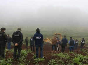 Polícia Civil prende homem condenado por vender carne de cavalo ilegal em Caxias do Sul, na Serra Gaúcha.