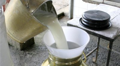 Produção de leite no Rio Grande do Sul entra em alerta com avanço do acordo Mercosul-União Europeia no Congresso Nacional.