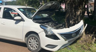 Acidente em Barão de Cotegipe: Nissan Versa colide contra árvore na Avenida Ângelo Calefe e deixa três feridos neste domingo (1º).