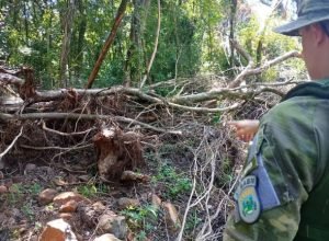 Brigada Militar flagra desmatamento de 3,66 hectares de Mata Atlântica em propriedade rural no interior de Rio dos Índios (RS).