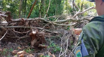 Brigada Militar flagra desmatamento de 3,66 hectares de Mata Atlântica em propriedade rural no interior de Rio dos Índios (RS).