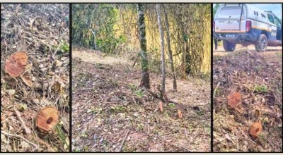 649739406_1670774417236212_3863313562669759068_n