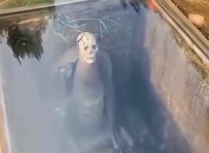 Cemitério na China chama atenção ao expor corpos atrás de painéis de vidro, permitindo observar o processo natural de decomposição ao longo do tempo.