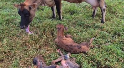 651050362_1360808189401542_4240212677731387519_n