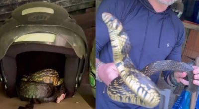 651067546_18239200303307612_1943197428527019905_n