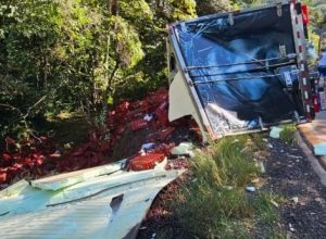 Acidente entre Passo Fundo e Marau ocorreu na ERS-324 após carreta carregada com uvas se desprender de caminhão e atingir um carro.