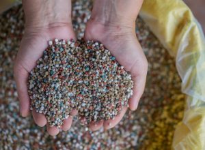 655941262_1683001186013535_7042999204797459568_n