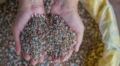 655941262_1683001186013535_7042999204797459568_n