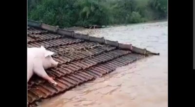 Fenômeno El Niño pode intensificar chuvas e elevar risco de enchentes no Rio Grande do Sul em 2026.