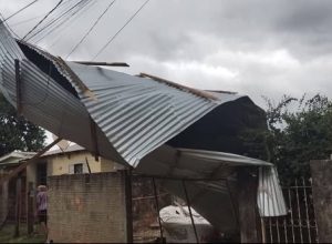 Temporal em Uruguaiana provoca estragos com ventos fortes, chuva intensa e árvores derrubadas neste sábado (21).