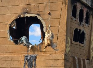 657602731_18575153785035675_4449806558766976431_n