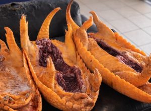 657909281_18242796712307612_2654636764230401693_n