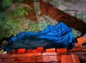 658130820_1525718099561542_7586643267670405598_n