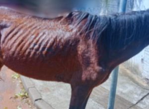 658608184_18103950613935257_7191205461118776005_n