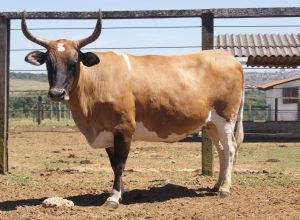 659169520_18241948636307612_1442046435123085167_n