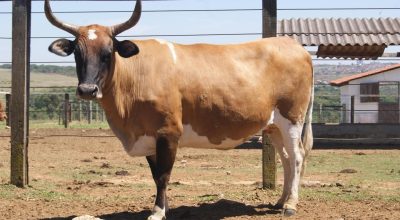 659169520_18241948636307612_1442046435123085167_n