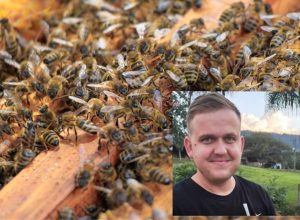 659741075_18242634772307612_223085027292101668_n