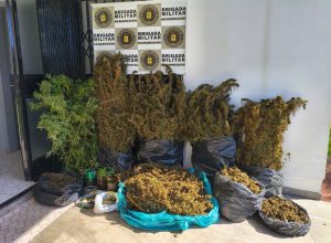 661394216_1553671770099761_6397128199192165368_n