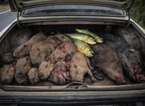 662044103_18241617292307612_2168882424674693365_n