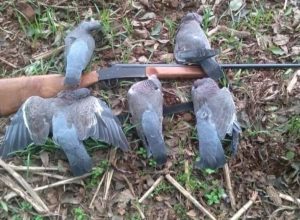 663136071_18242932504307612_2300404691109334676_n