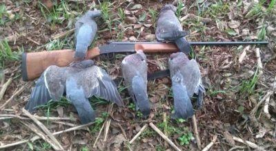 663136071_18242932504307612_2300404691109334676_n