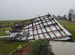 667680193_122176300244714828_4019917885535934949_n