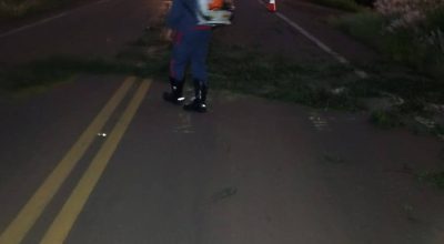 669222263_1263860882618252_7805739128081829343_n