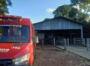 670500888_1375840381249229_7746756946594356341_n