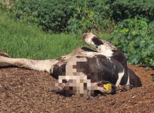 670646575_18243051154307612_4900889974269278521_n