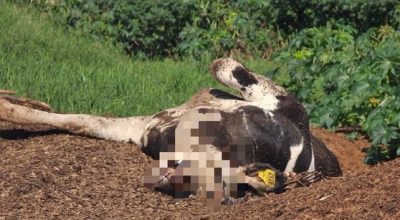 670646575_18243051154307612_4900889974269278521_n