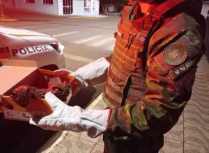 670875755_1506784314229798_6830462703349660937_n