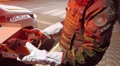 670875755_1506784314229798_6830462703349660937_n