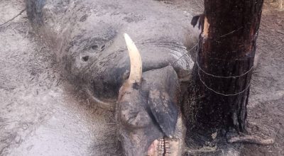 670921988_1334055678771477_5870022225137536844_n