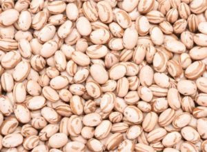 671599584_1699341564379497_7810140710014047520_n